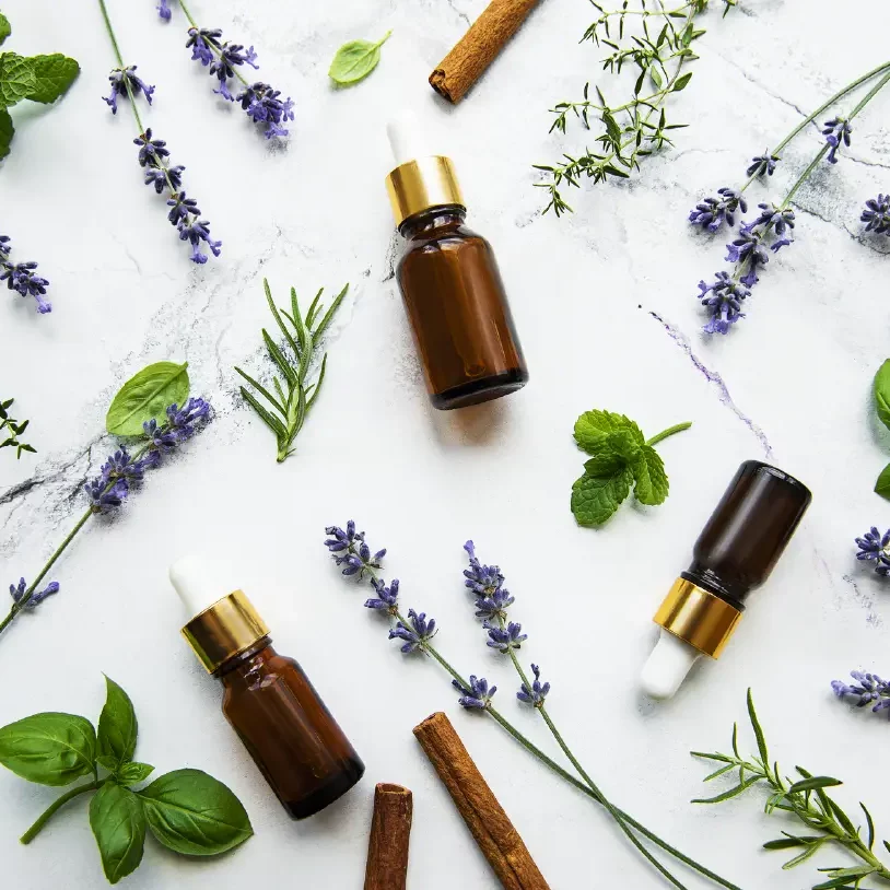 Lavender and other plants shown with essential oil droppers